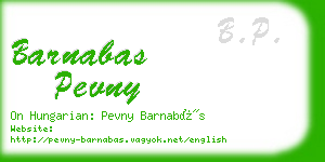 barnabas pevny business card